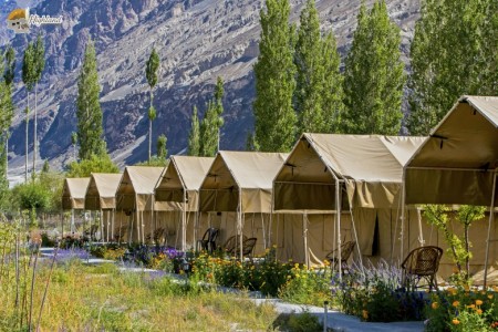 HIGHLAND DESERT CAMP